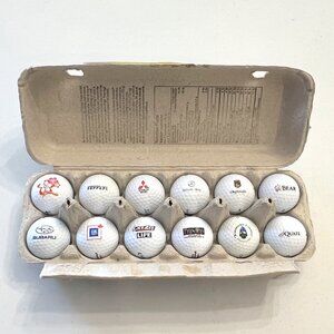 Brand New 1 Dozen Assorted Logo Golf Balls!
